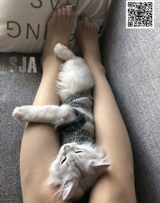 传说 电影