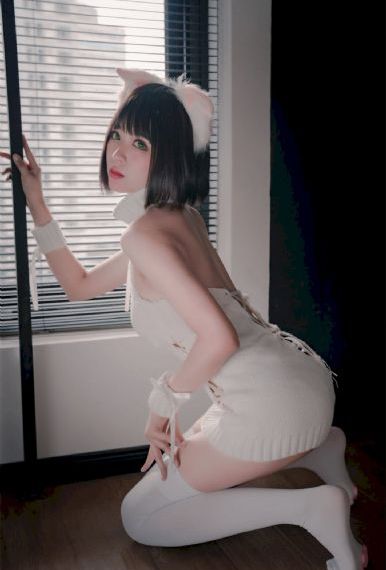 电视剧二炮手全集免费观看