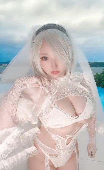 成全免费视频