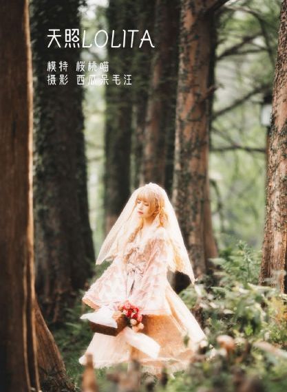 布里奇顿 第一季