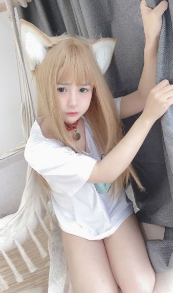 《探索者的羽翼》